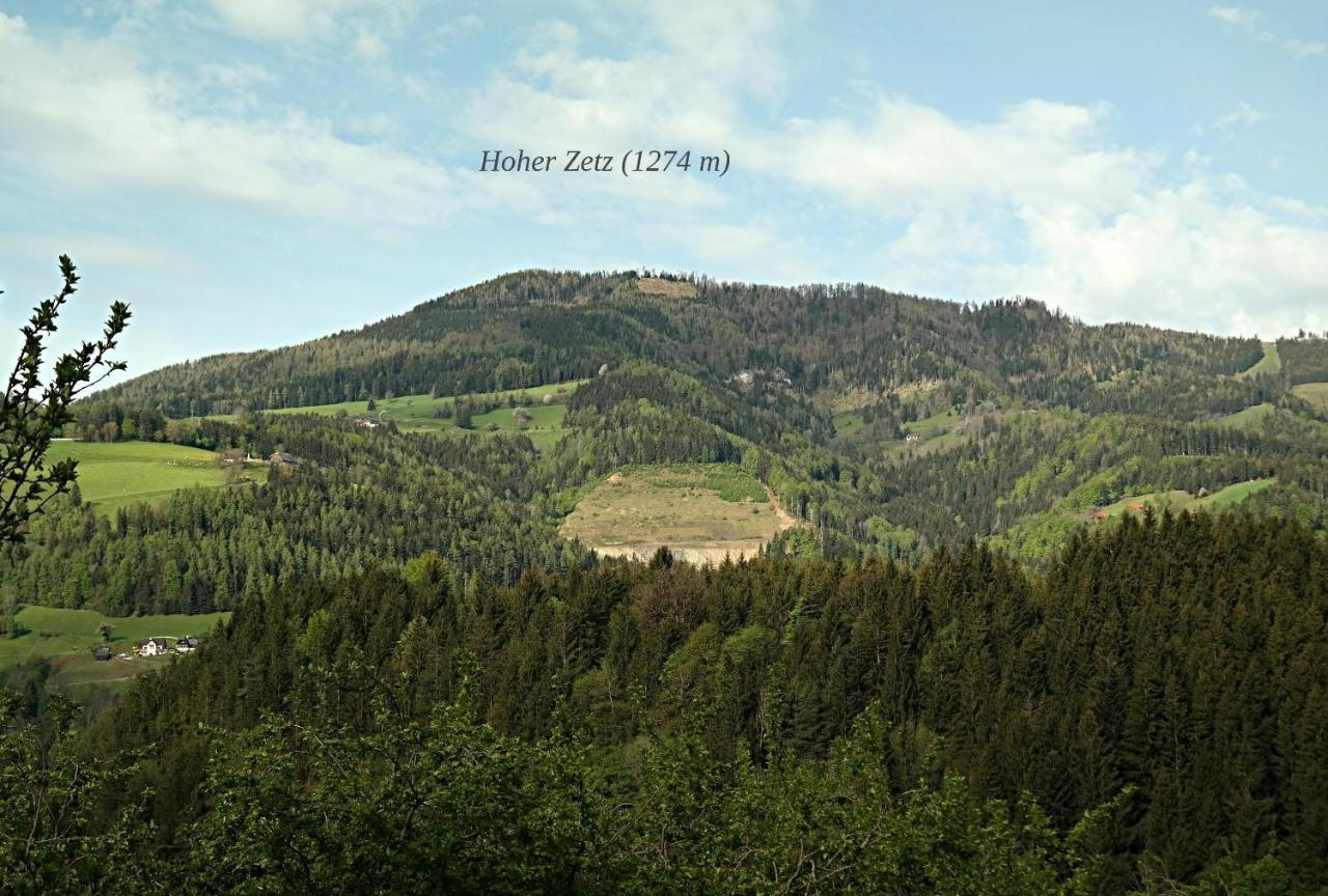 Ferienwohnungen Raczkowski Birkfeld Exterior foto